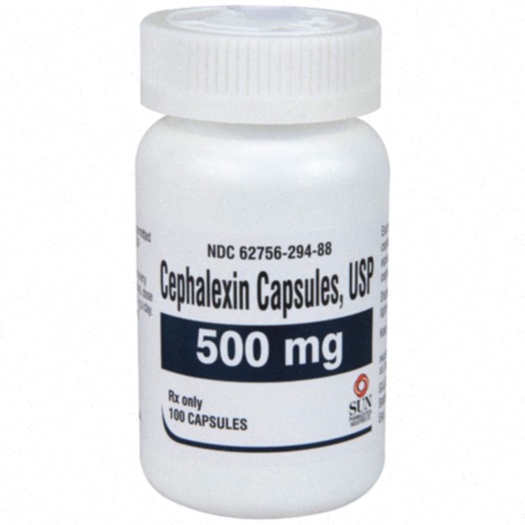 cephalexin