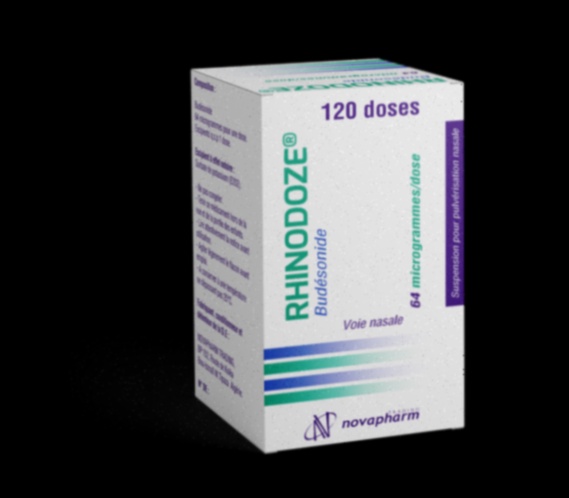 Rhinocort spray nasal
