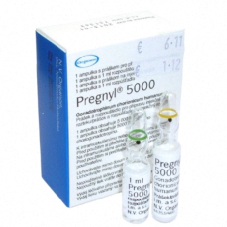 pregnyl